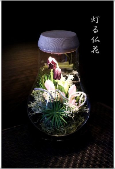 画像1: 【灯る仏花】蓮の庭（はこ付）